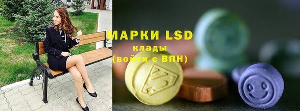 прущие грибы Баксан