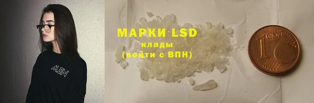прущие грибы Баксан