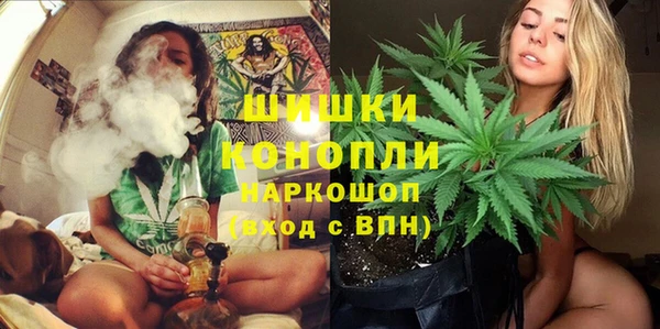 прущие грибы Баксан
