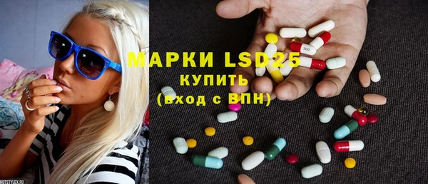 прущие грибы Баксан