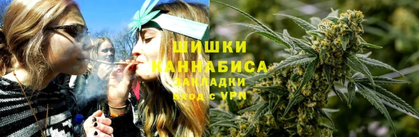 прущие грибы Баксан