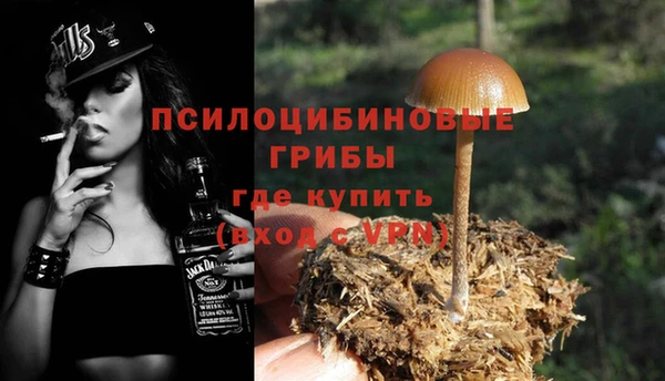 прущие грибы Баксан