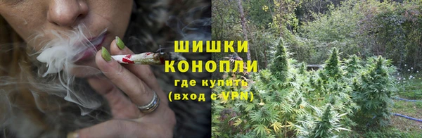 прущие грибы Баксан