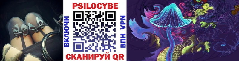 Псилоцибиновые грибы Psilocybine cubensis  цена наркотик  блэк спрут ТОР  Николаевск-на-Амуре 